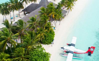Maldives, Tropical beaches, resort, palm trees, aerial view