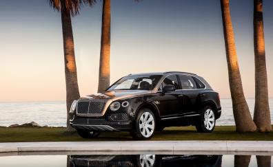 Black, Bentley Bentayga, luxurious car