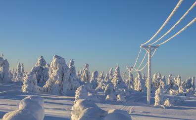 Winter, clean sky, trees, island, landscape, electric towers, snowfall