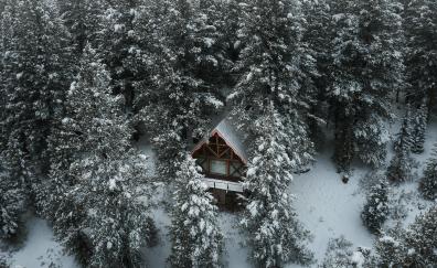 Hut in forest, drone shot, winter