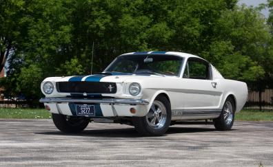 1967 Ford Mustang Shelby GT350, sports lines