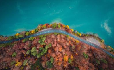 Curve of highway, autumn, nature, aerial view
