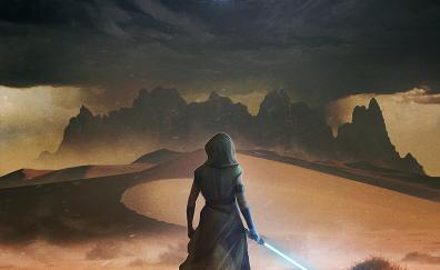 Star Wars: The Rise of Skywalker, artwork