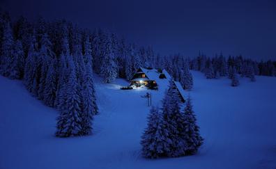 House, night, winter, trees, snow layer, nature