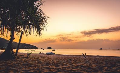 Beach, sand, sky, palm tree, sunset