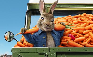 Movie, Peter Rabbit 2: The Runaway, 2020 animation movie