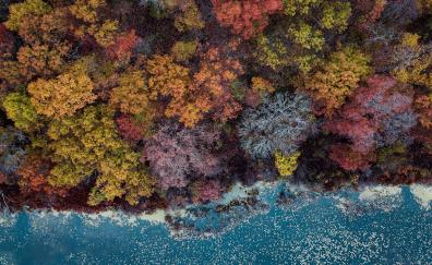 Autumn, lake, trees, colorful, aerial view