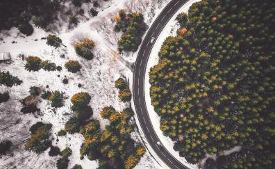 Road curve, aerial view, forest