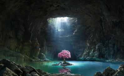 Pink tree, blossom, cave, lake, nature