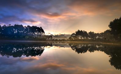 Reflections, trees, lake, sunset, nature