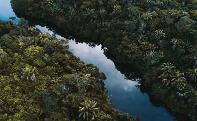 Aerial shot, river, trees, Brazil