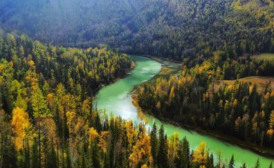 River flow, aerial view, green forest