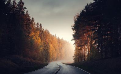 Lone road in autumn morning, Finland