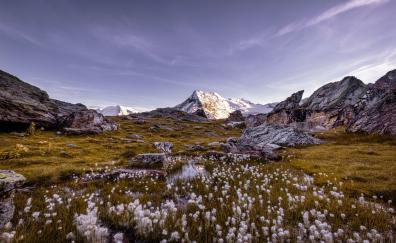 Swiss alps, landscape, mountains, nature
