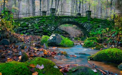 Moss, nature, rocks, stone bridge, river