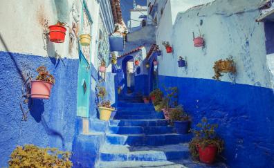 Blue house paint, street, city, colorful