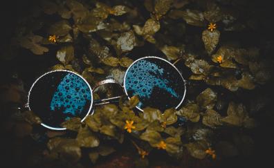 Water drops, leaf, close up, sunglasses