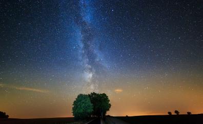 Tree, night, milky way, galaxy, stars