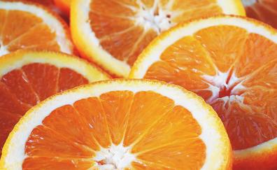 Close up, orange slices, fruits