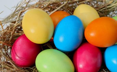 Easter eggs, colorful, close up, nest