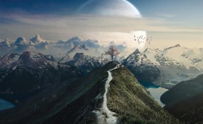 The moon and tree, mountain top, fantasy