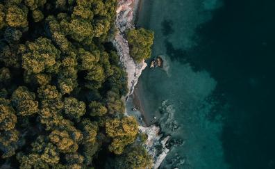 Aerial view, coast, green trees, nature