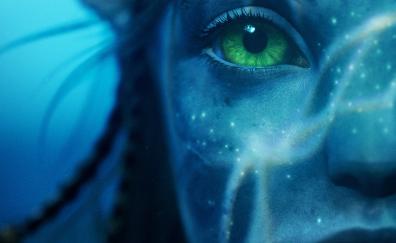 Avatar: The Way of Water, 2022 movie, sci-fi