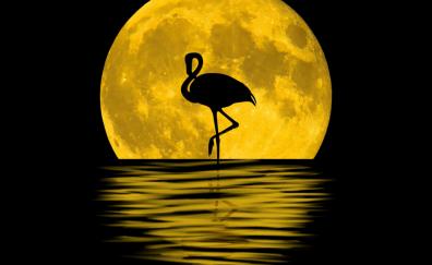 Flamingo, moon, silhouette, reflections, digital art