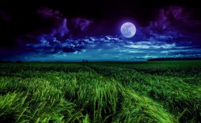 Grass field, moon, landscape, night, clouds