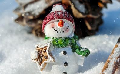 Winter, snowman, funny, holiday, Christmas