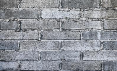 Gray bricks Wall, grey, texture