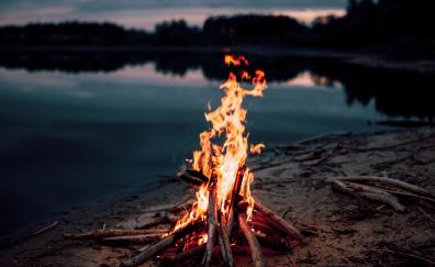 Bonfire, fire flame