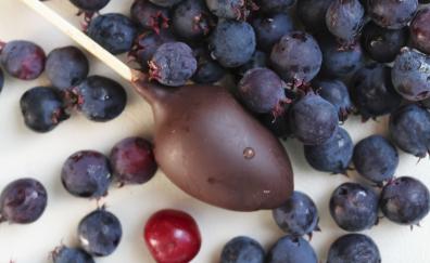 Blueberries, drops, chocolate lollipop, fresh