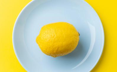 Lemon fruit, minimal