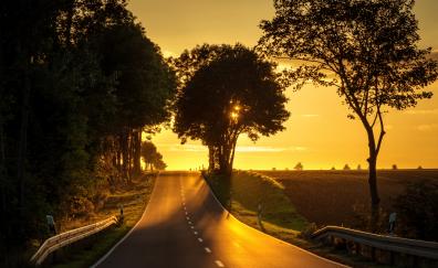 Road, sunset, tree, landscape