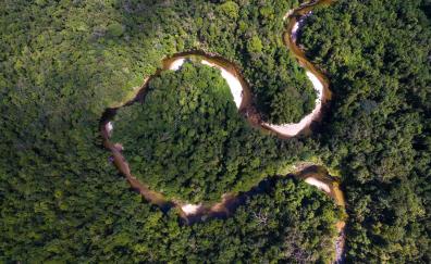 River, forest, nature, aerial view, trees