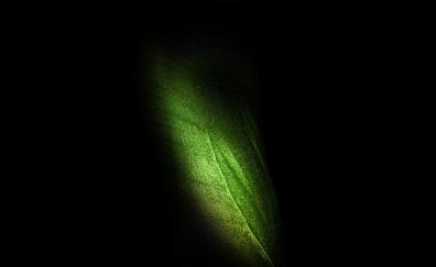 Samsung Galaxy Fold, leaf, green