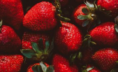 Strawberry, red fruit, fresh