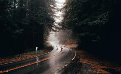 Highway turn, road, rainy, water on road