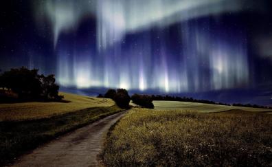 Pathway, nature, night, northern lights