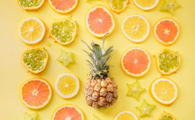 Summer, fruits' slices, citrus fruits