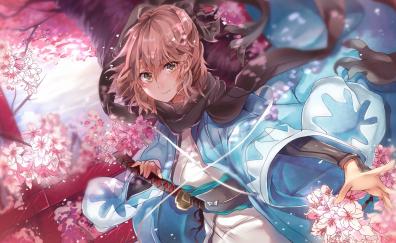 Sakura saber, cherry blossom, warrior, fate series