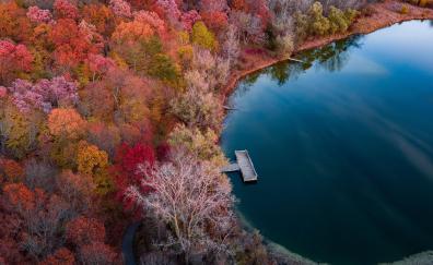 Lake, autumn, nature, aerial view