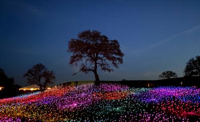 Glow flowers, tree, night