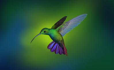 Hummingbird, blur, art, flight