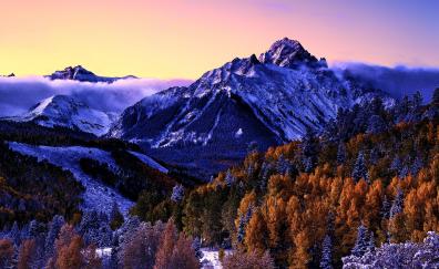 Mount Sneffels, Colorado, forest, trees, purple sky