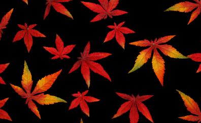 Autumn, leaves, abstract