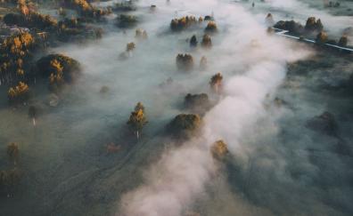 Nature, town, fog, aerial view
