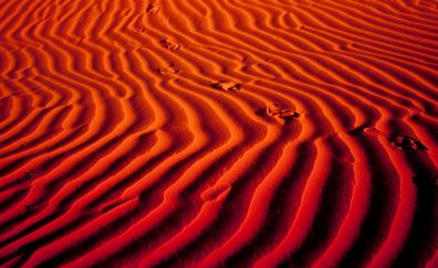 Algeria, desert, sand, marks