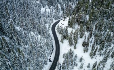 Nature, aerial view, highway, forest